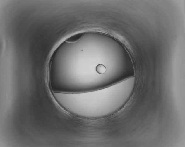 X0000111941520200907271004