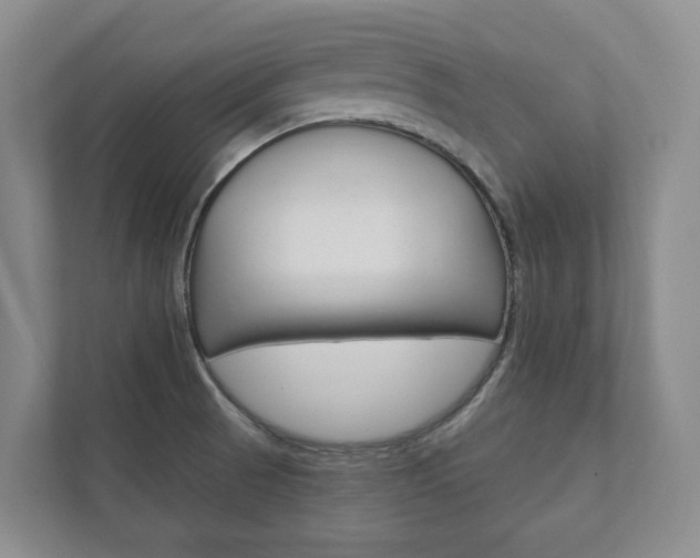 X0000111941521200907271004
