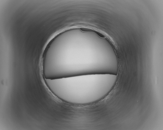 X0000111941522200907271004