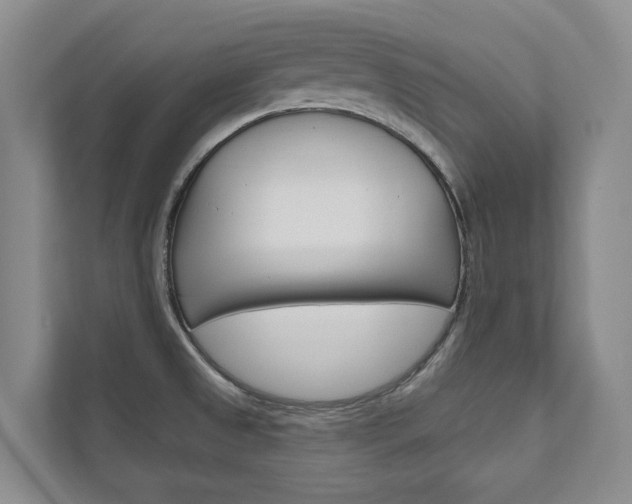 X0000111941525200907271004