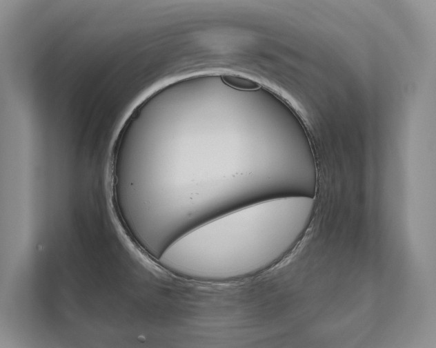 X0000111941526200907271004