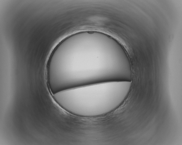 X0000111941527200907271004