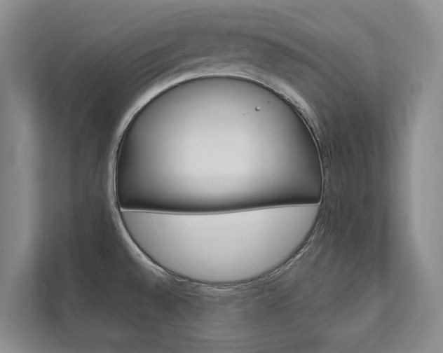X0000111941528200907271004