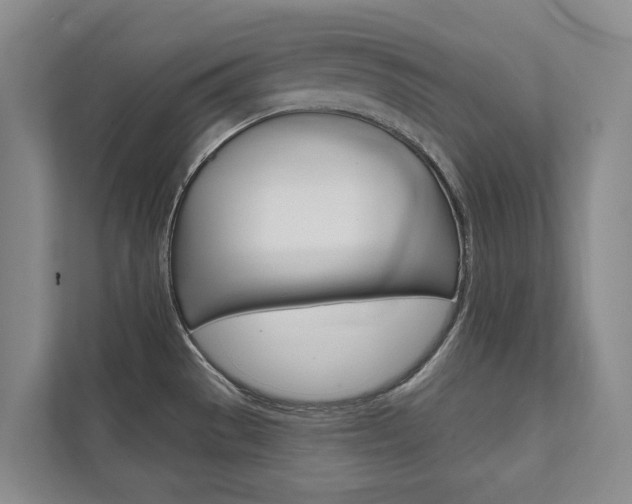 X0000111941529200907271004