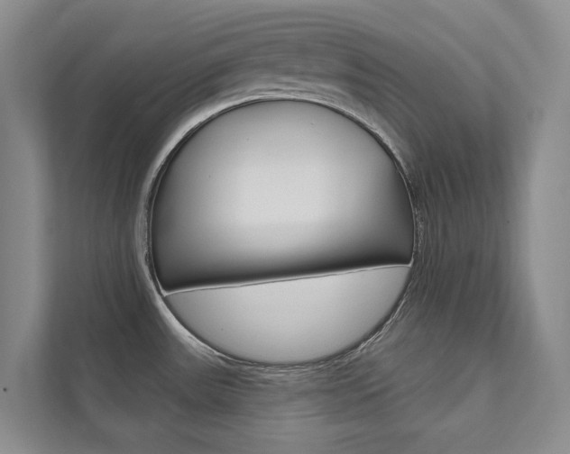 X0000111941531200907271004