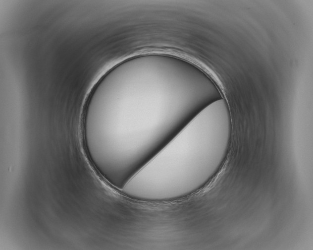 X0000111941533200907271004