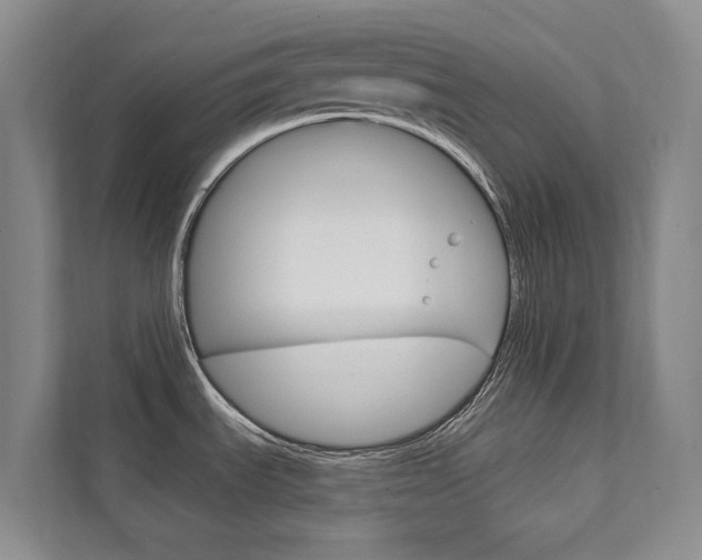 X0000111941535200907271004