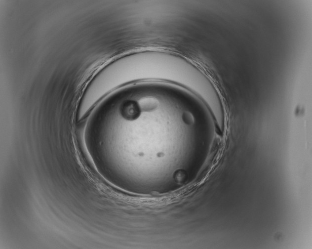 X0000111940001200907271424