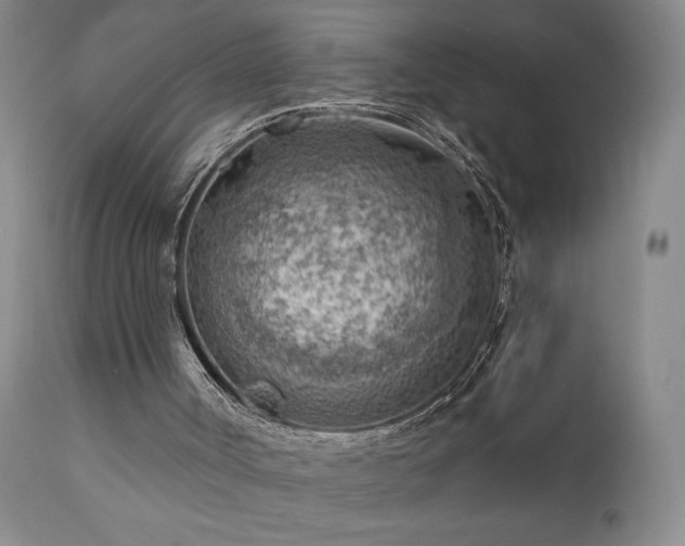 X0000111940002200907271424