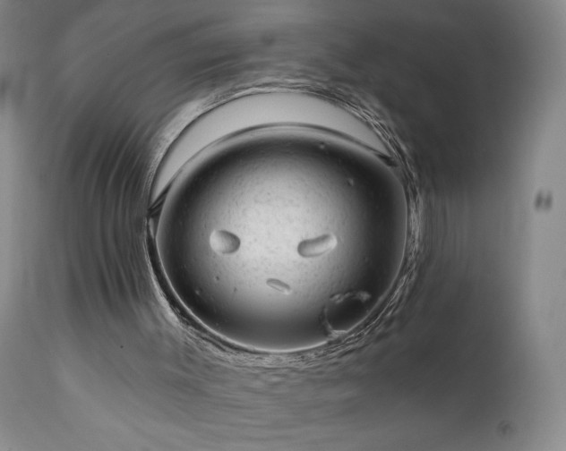 X0000111940003200907271424