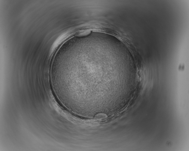 X0000111940004200907271424