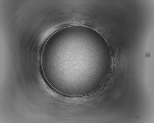 X0000111940005200907271424