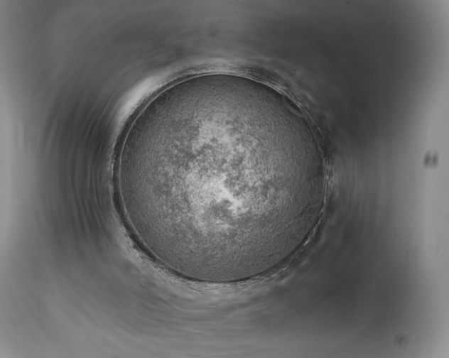 X0000111940006200907271424