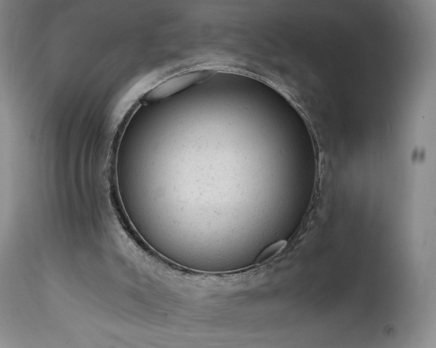 X0000111940007200907271424