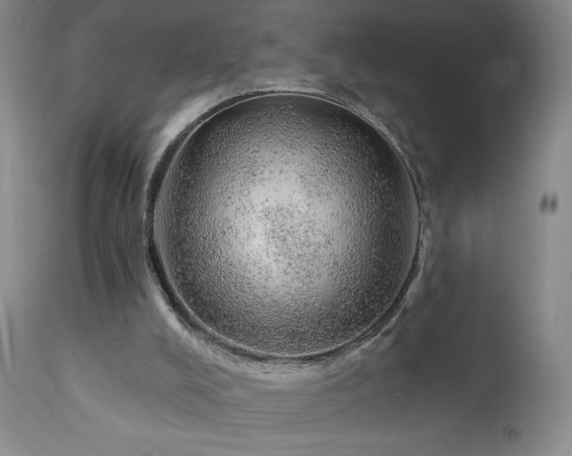 X0000111940008200907271424