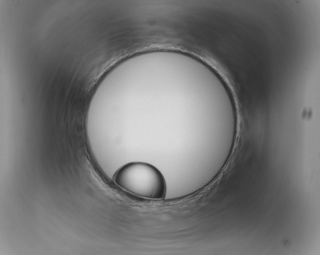 X0000111940009200907271424