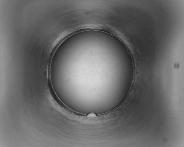 X0000111940011200907271423