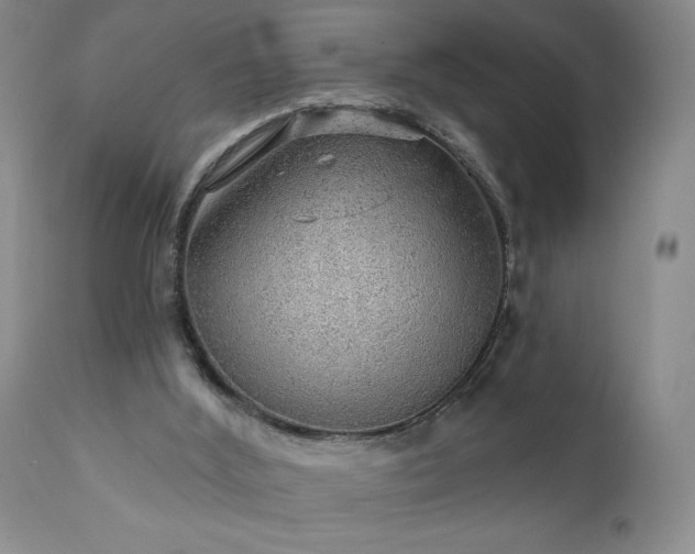 X0000111940012200907271423