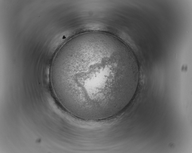 X0000111940014200907271423