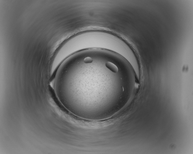 X0000111940015200907271423