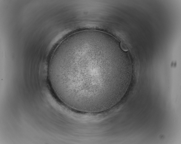 X0000111940016200907271423