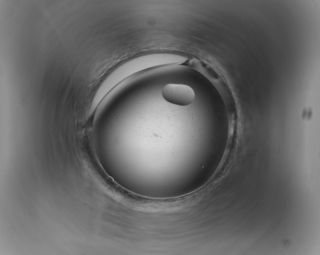 X0000111940017200907271423