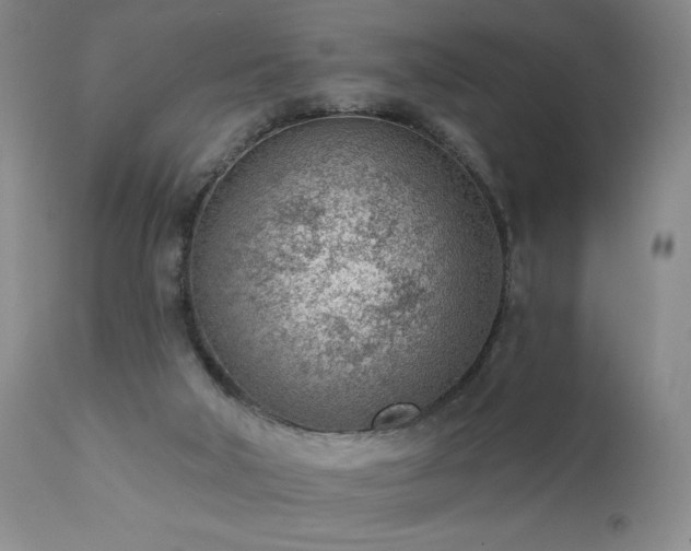 X0000111940018200907271423