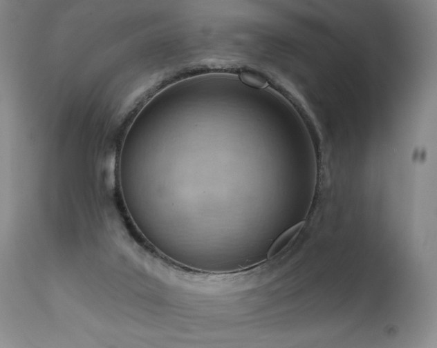 X0000111940019200907271423