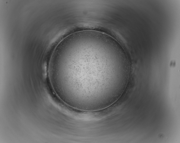 X0000111940020200907271423