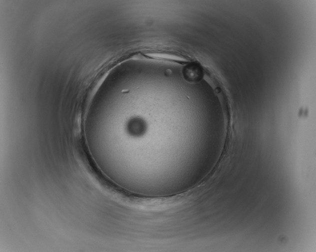 X0000111940021200907271423