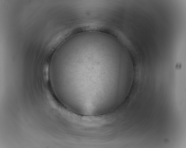 X0000111940022200907271423