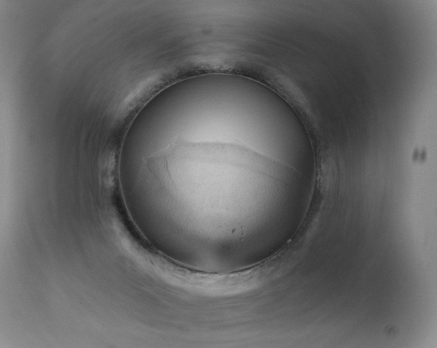 X0000111940023200907271423