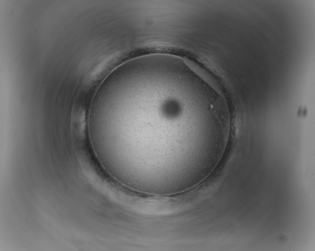 X0000111940024200907271423