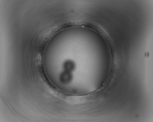 X0000111940025200907271423