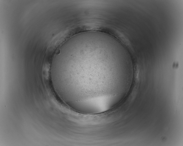 X0000111940026200907271423