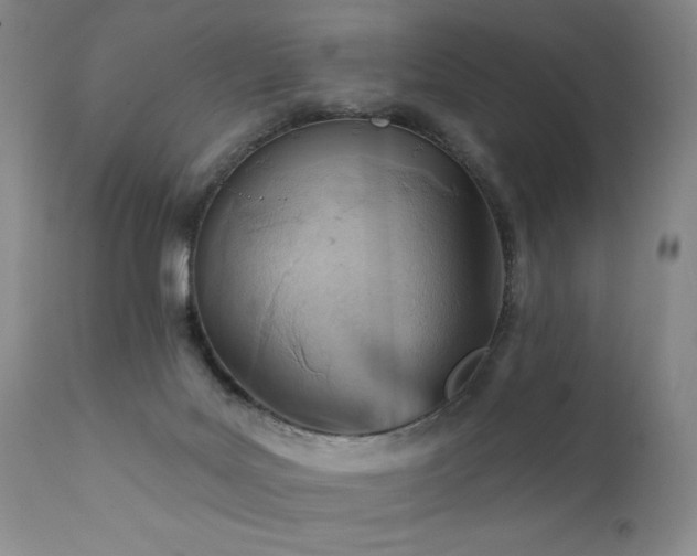 X0000111940027200907271423