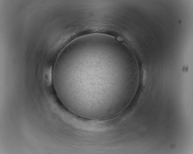 X0000111940028200907271423