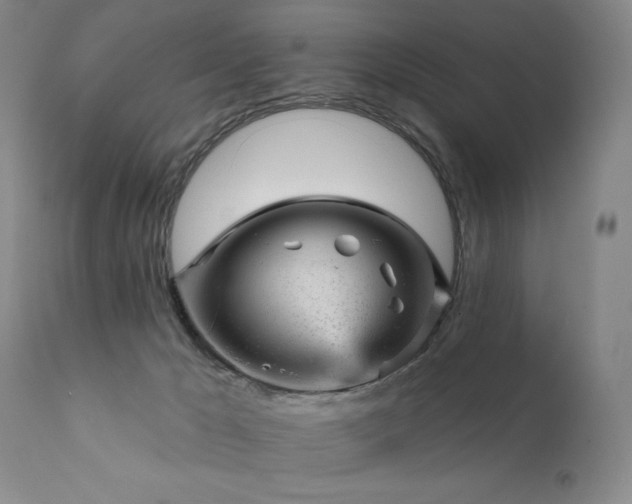 X0000111940029200907271423