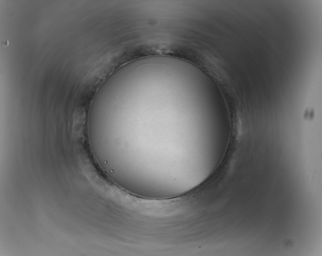 X0000111940030200907271423