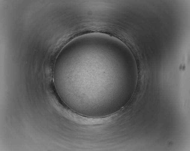 X0000111940031200907271423