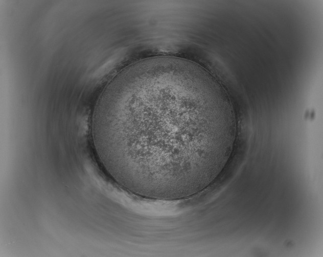 X0000111940032200907271423