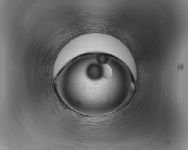 X0000111940033200907271423