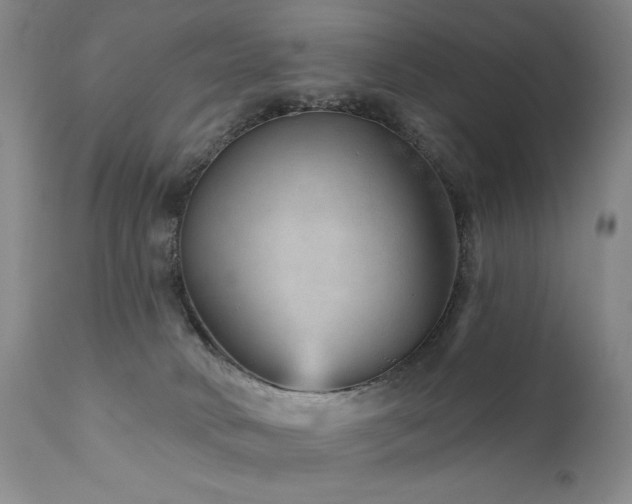 X0000111940034200907271423