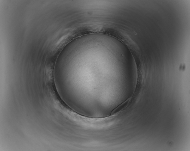 X0000111940035200907271423