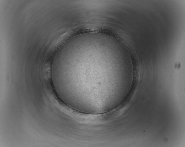 X0000111940036200907271423