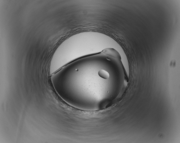 X0000111940037200907271423