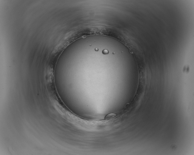 X0000111940038200907271423