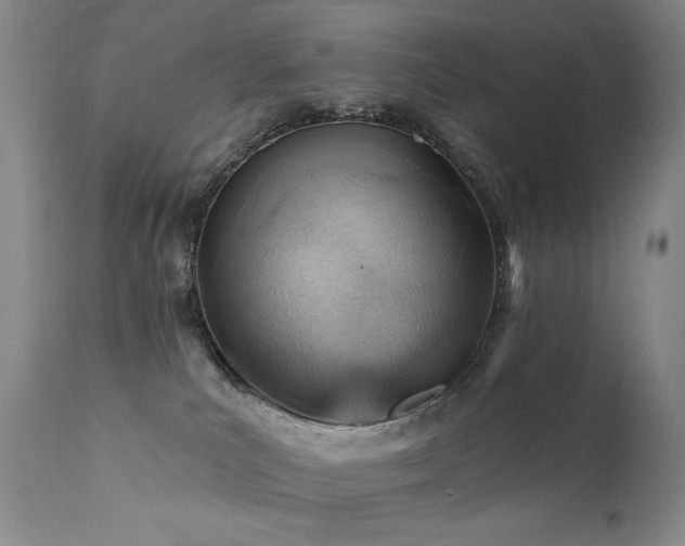 X0000111940039200907271423