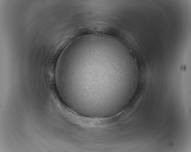 X0000111940040200907271423