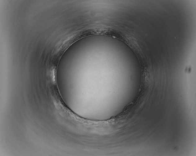 X0000111940042200907271423